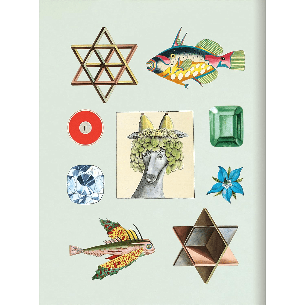 Книга на английском языке "The Antiquarian Sticker Book: Bibliophilia", Odd Dot - 9