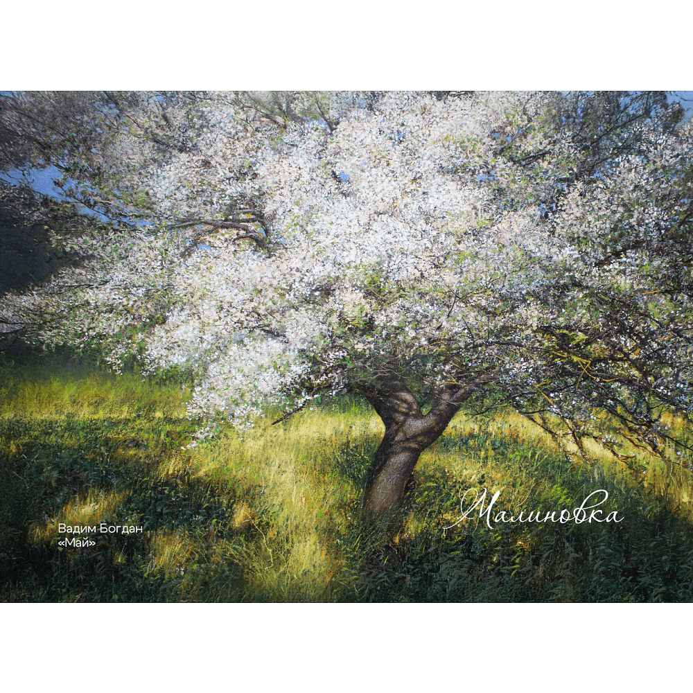 Обложка для паспорта "Май", Вадим Богдан, натуральная кожа, разноцветный - 3