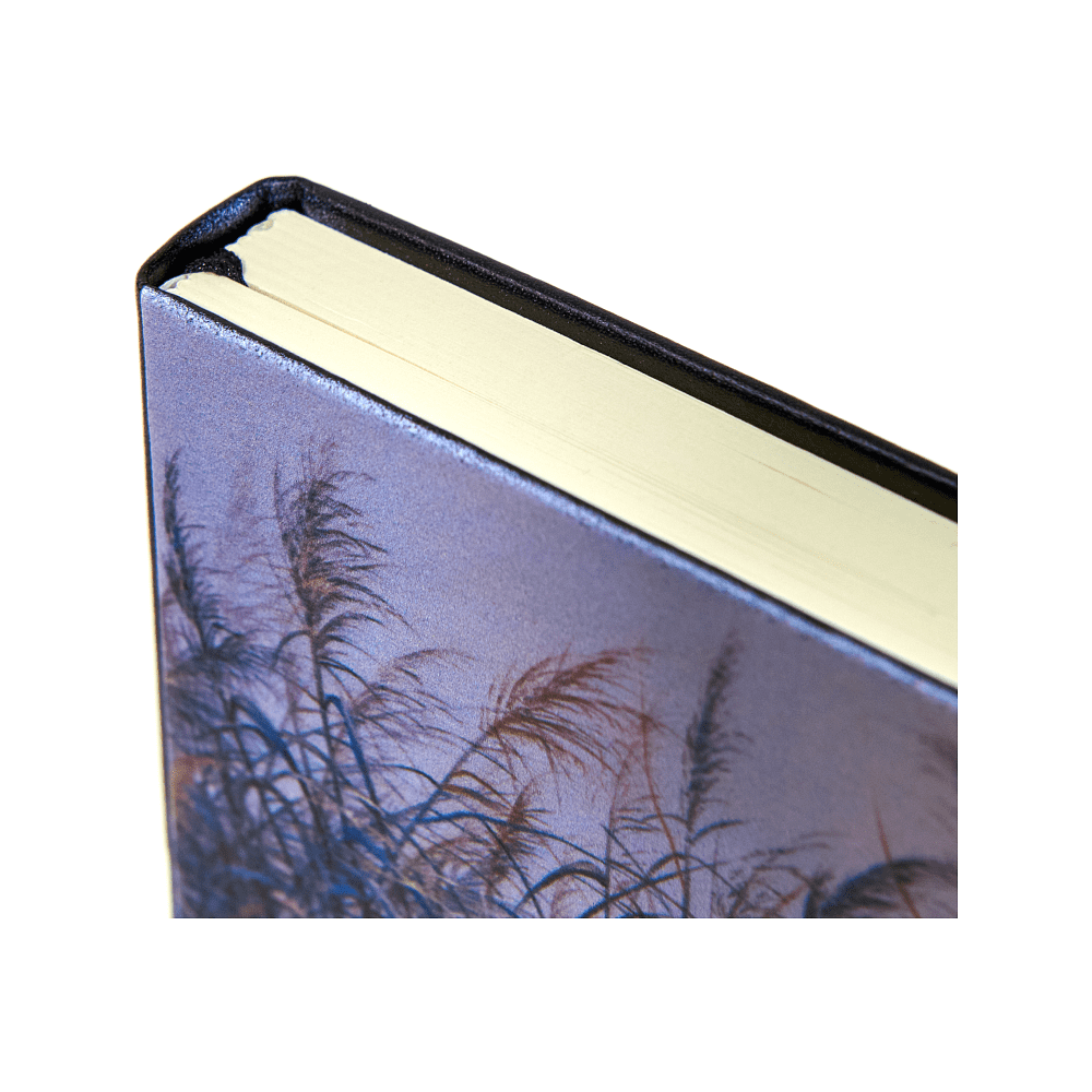 Скетчбук "Валерий Шкарубо. Волнение", 21x14.8 см, 80 листов, нелинованный, черный пейзаж - 3