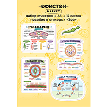 Стикерпак NALEPKING "Зоо", А6, 12 листов, 62 шт