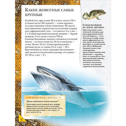 Книга "Большая энциклопедия школьника. Книга вопросов и ответов" - 11