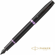 Ручка перьевая Parker 