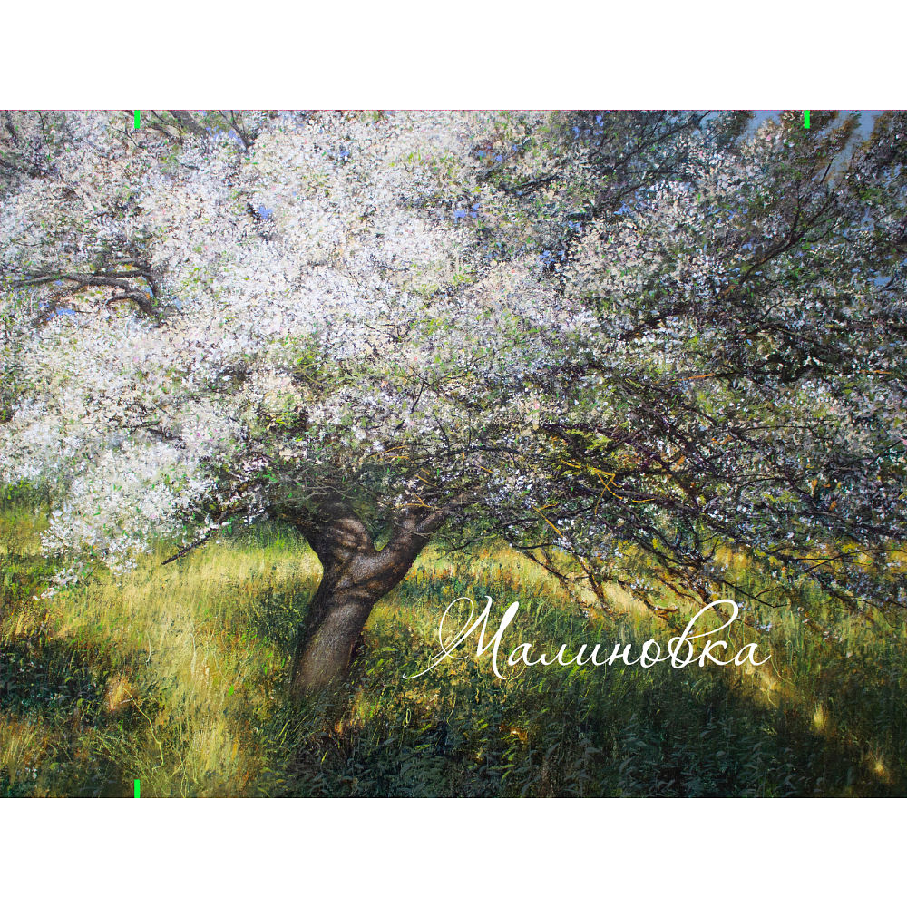 Кошелек "Май”, Вадим Богдан, текстиль, разноцветный - 3