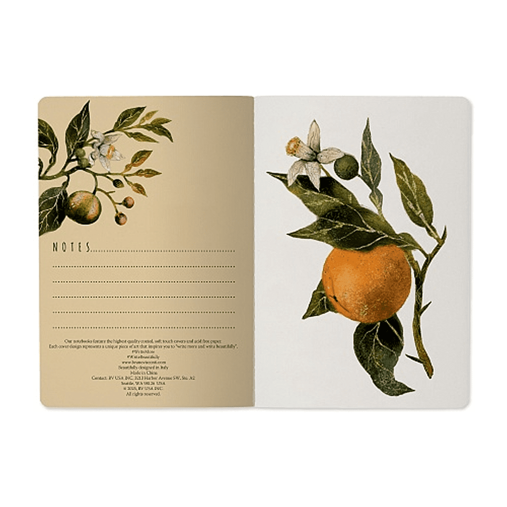 Тетрадь "Flora. Paradise. Oranges", A5, 40 листов, линейка, зеленый, оранжевый - 4