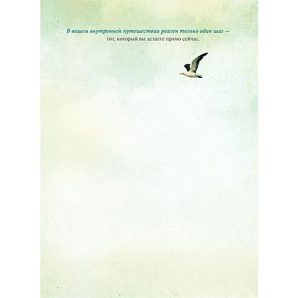 Дневник "The power of now. Cила настоящего", Экхарт Толле - 3