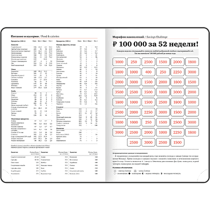Ежедневник датированный "Select" на 2027 год, А6, 352 страницы, линейка - 9