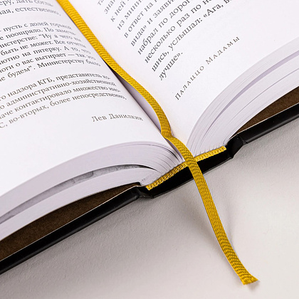 Книга "Палаццо Мадамы. Воображаемый музей Ирины Антоновой", Лев Данилкин - 13