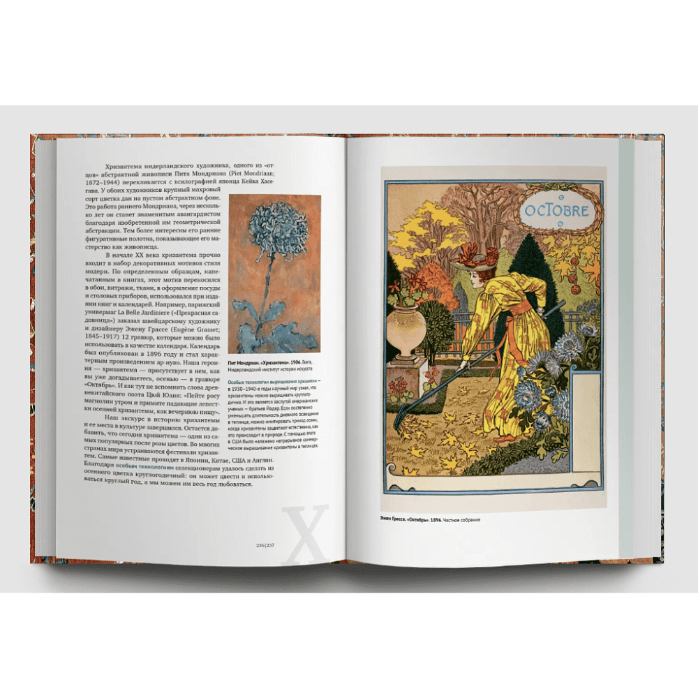 Книга  "Искусство и флора. От Аканта до Яблони", Ольга Козлова, Светлана Шехтер - 9