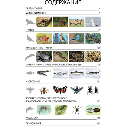 Книга "Красная книга Республики Беларусь. Животные" - 2