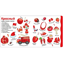 Книга "Изучаем цвета, слова, цифры"