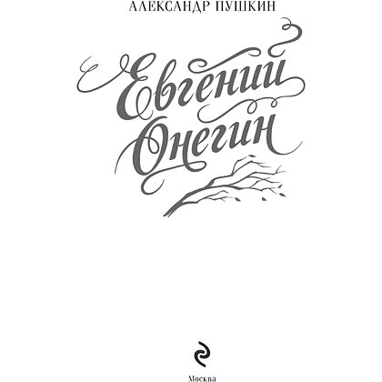 Книга "Евгений Онегин" подарочное издание, Александр Пушкин - 4
