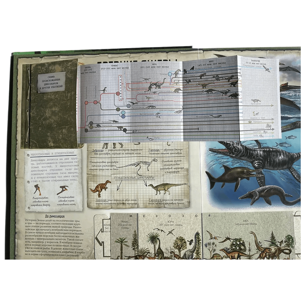 Книга "Динозавры (Интерактивная энциклопедия с окошками, 3D-элементами и pop-up фигурами)", Юлия Школьник - 7