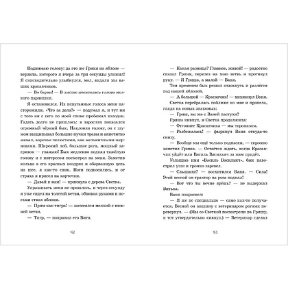 Книга "Деревня Гусиные Лапки. Три истории в одной книге", Андрей Снесарь - 6