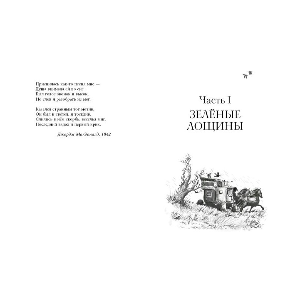 Книга "Король-волк (#4)", Эндрю Питерсон - 3