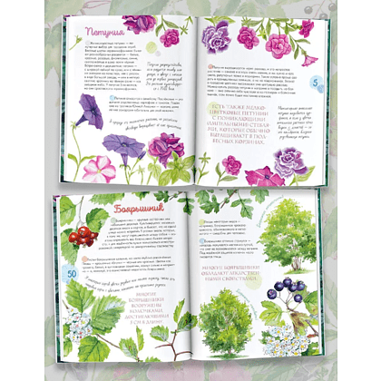 Книга "Растения в городе", Ирина Пескова - 2