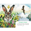 Книга "Библиотека начальной школы. Лесные сказки", Николай Сладков - 5