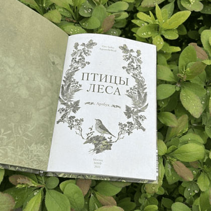 Книга "Птицы леса. Артбук", Geo Saiko, AquarelleWolf - 4