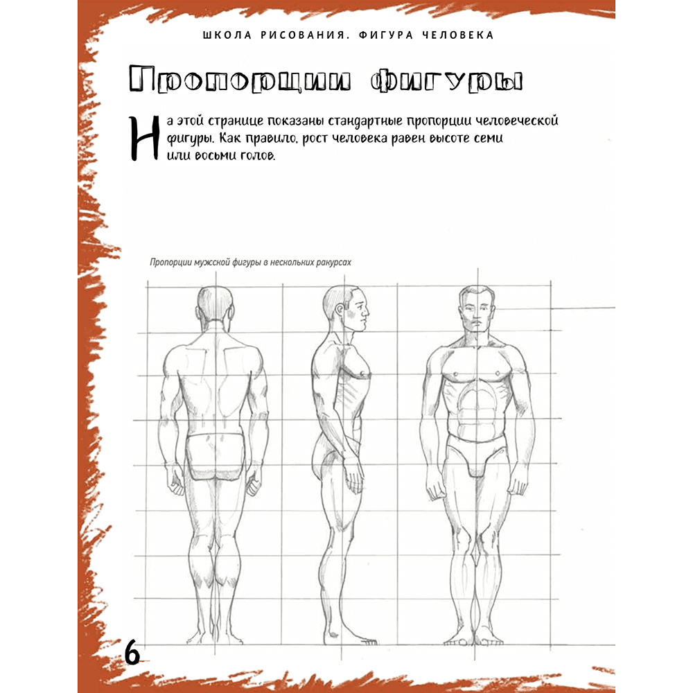 Книга "Школа рисования. Фигура человека", Марк Берджин - 3
