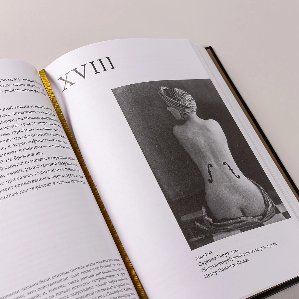 Книга "Палаццо Мадамы. Воображаемый музей Ирины Антоновой", Лев Данилкин - 11