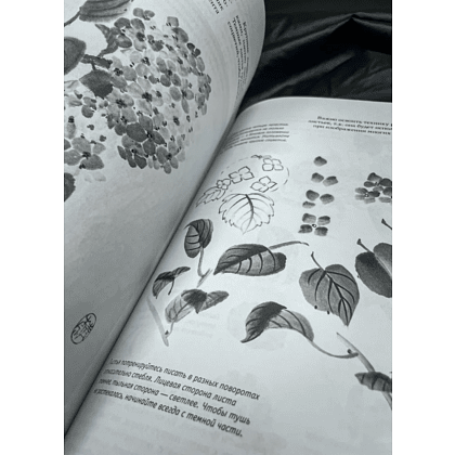 Книга "Основы японской живописи суми-э", Наталия Безвуляк - 3