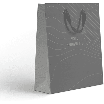 Пакет бумажный подарочный "Country LV", 25.5х31.5х11 см, ассорти - 3