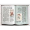 Книга  "Искусство и флора. От Аканта до Яблони", Ольга Козлова, Светлана Шехтер - 6
