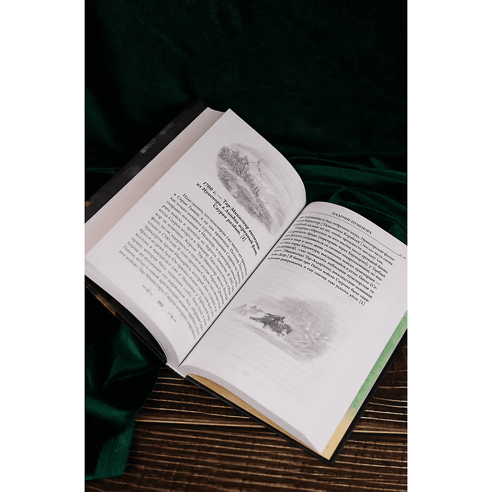 Книга "Падение Нуменора (с иллюстрациями Алана Ли)", Джон Р. Р. Толкин - 6