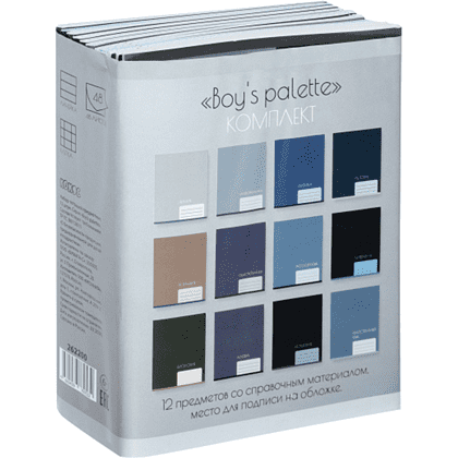 Набор тетрадей предметных "Boy's palette", А5 ,48 листов, клетка, линейка, ассорти, 12 школьных предметов