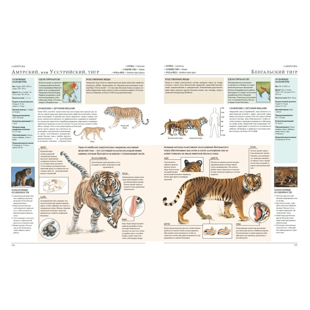 Книга "Животные мира. Моя большая энциклопедия" - 3