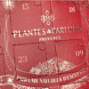 Адвент-календарь "PLANTES&PARFUMS", 24 ароматические свечи - 3