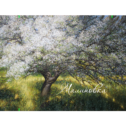 Кошелек "Май”, Вадим Богдан, текстиль, разноцветный - 3