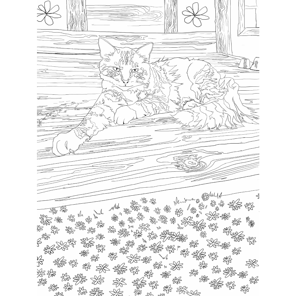 Раскраска "Раскраска Кототерапия. Котики, которые успокаивают", Анастасия Токарева - 4
