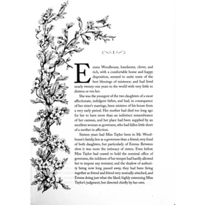 Книга на английском языке "Emma", Jane Austen - 4