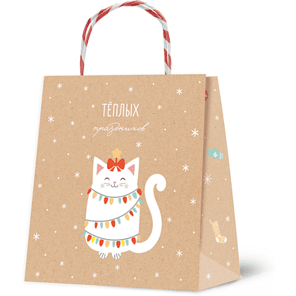 Пакет бумажный подарочный "Christmas Kraft", 16*18*8 см, ассорти - 5