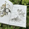 Книга "Птицы леса. Артбук", Geo Saiko, AquarelleWolf - 7