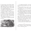 Книга "Детское чтение. Волшебник Изумрудного города", Александр Волков - 7