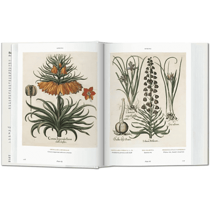 Книга на английском языке  "Florilegium. The Book of Plants. Garden at Eichstatt"  - 5