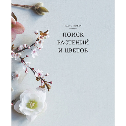 Книга "Искусство цветочного дизайна. Принципы флористического стиля", Кристин Гил - 9