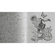 Раскраска на английском языке "Colouring Book. Beautiful Birds"