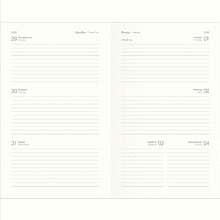 Еженедельник датированный "Petals" на 2026 год, А6, 128 страниц, букет