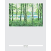 Книга "Пейзажи японской акварелью. Рисуем небо, облака, горы, деревья, туман, воду и скалы", Тосиюки Абэ - 3