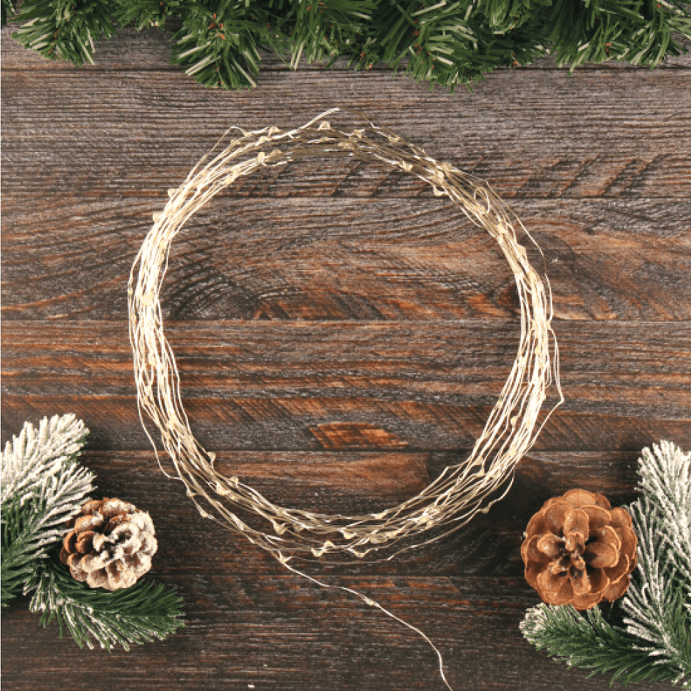 Гирлянда электрическая LED "Нить" с насадками "Роса", 10 м, белый - 4