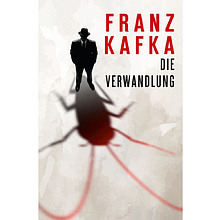Книга на немецком языке "Die Verwandlung", Франц Кафка