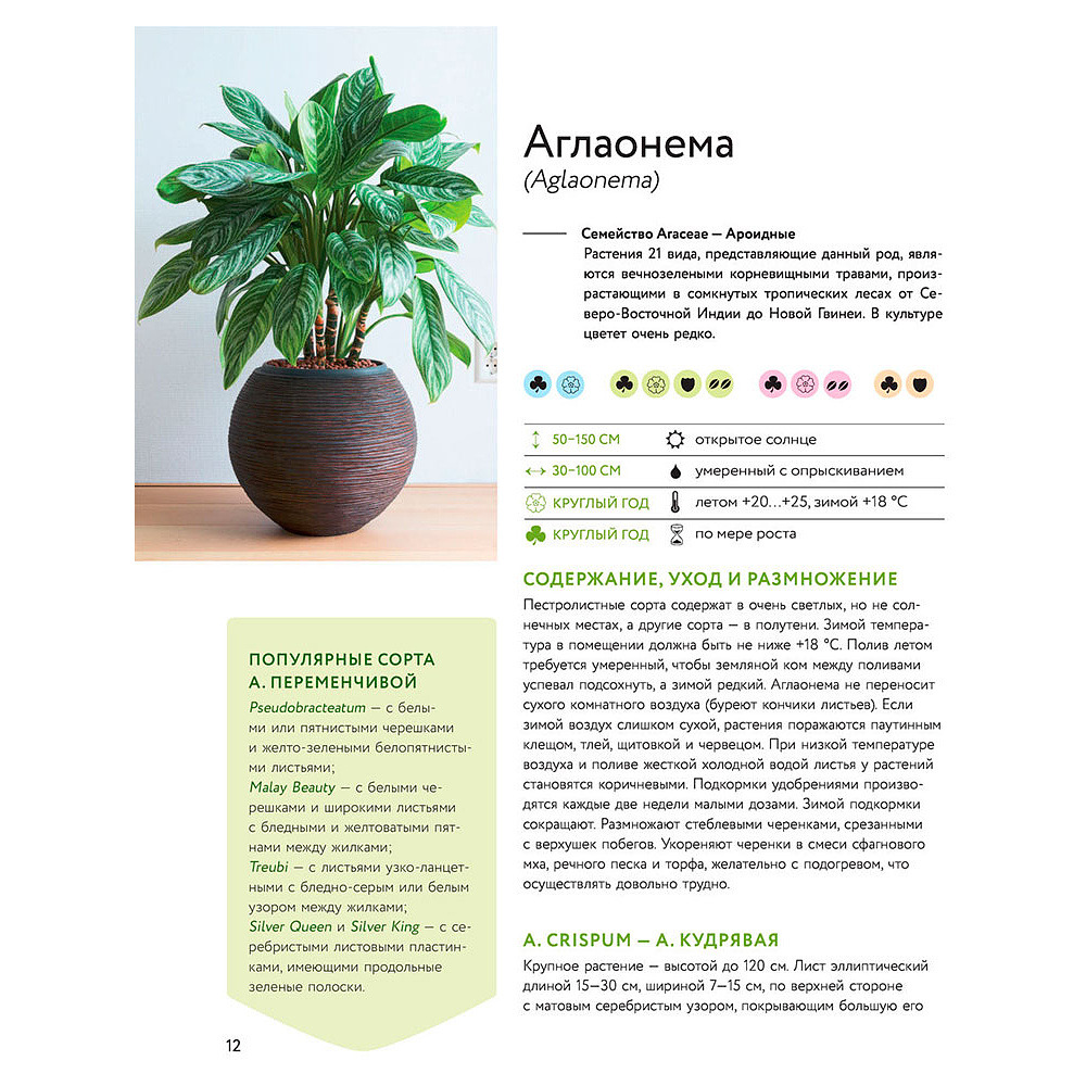 Книга "Зеленый оазис. Комнатные растения от А до Я", Березкина И. - 9