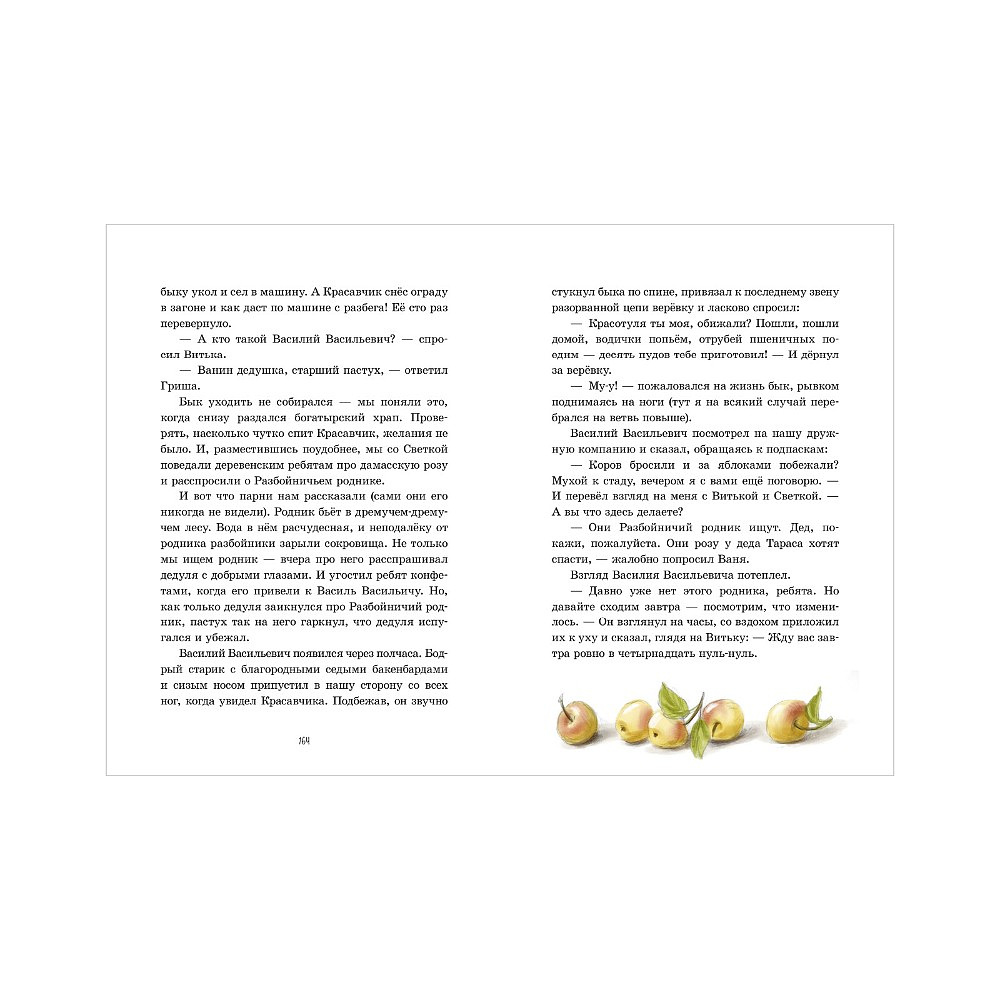 Книга "Деревня Гусиные Лапки. Три истории в одной книге", Андрей Снесарь - 7