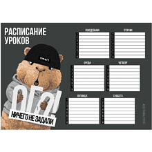 Расписание уроков "Капибара в шапке", А4, серый, коричневый