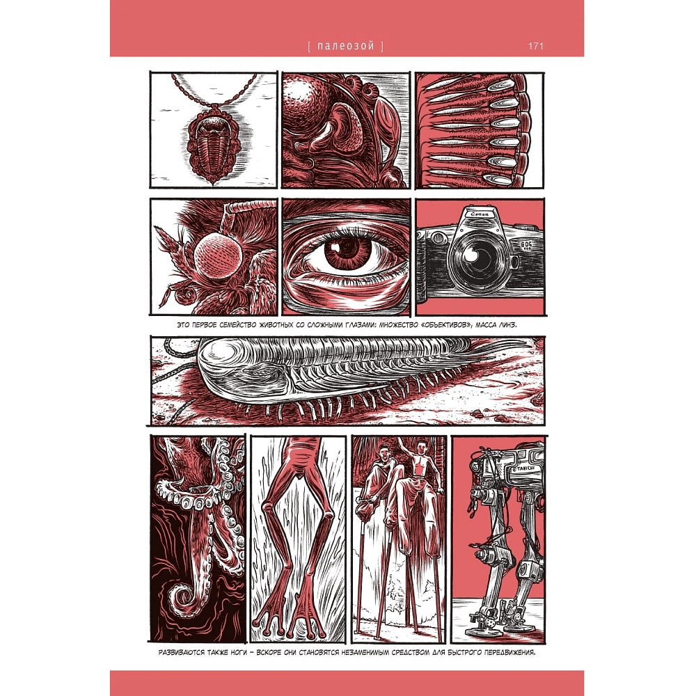Книга "Альфа... направления", Йенс Хардер - 5