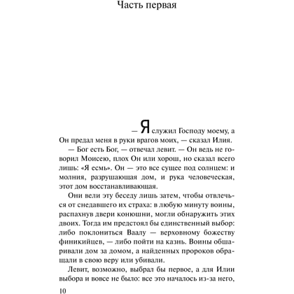 Книга "Пятая гора", Пауло Коэльо - 8