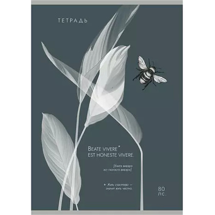 Тетрадь "Латынь", А4, 80 листов, клетка, ассорти - 2