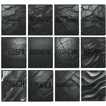 Набор тетрадей предметных "Black textures", А5, 48 листов, клетка, линейка, ассорти, 12 школьных предметов